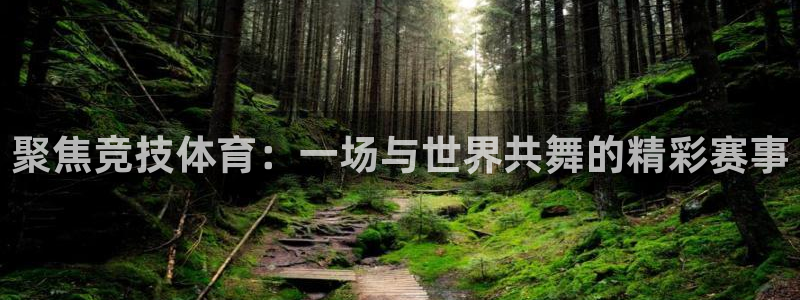 bbin视讯游戏平台