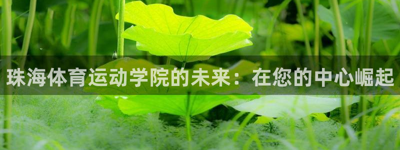 bbin视讯