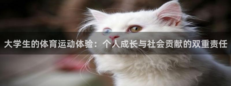 bbin视讯游戏平台
