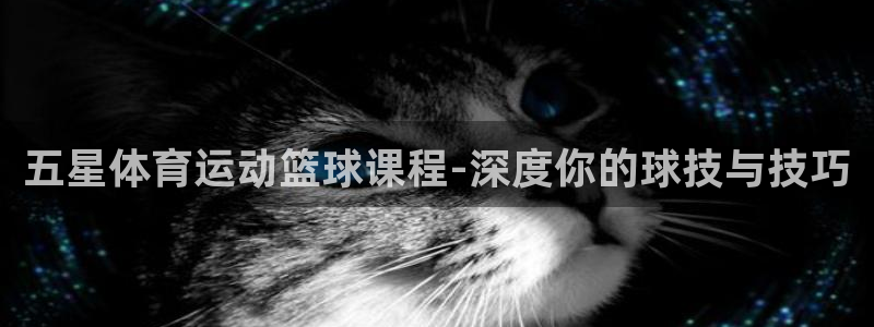 bbin视讯下