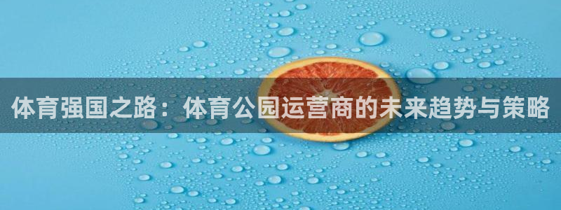 bbin视讯下