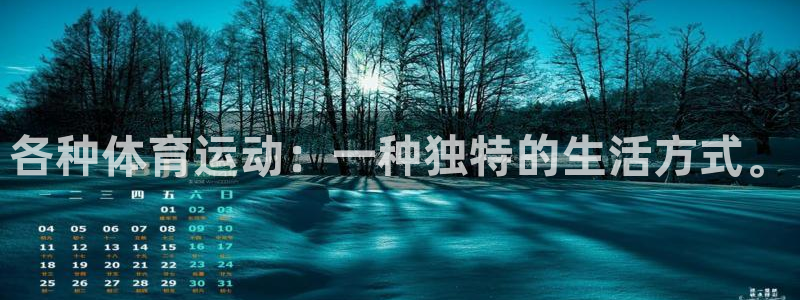 bbin视讯游戏平台