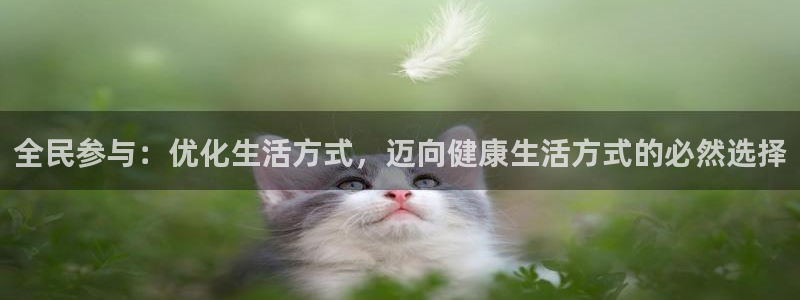 bbin视讯游戏平台