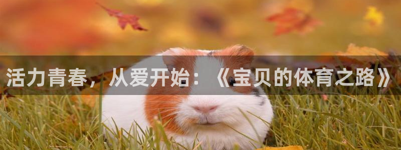 bbin视讯下