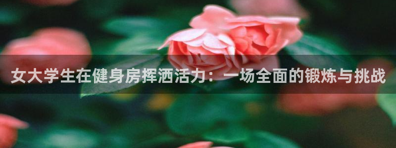 bbin视讯