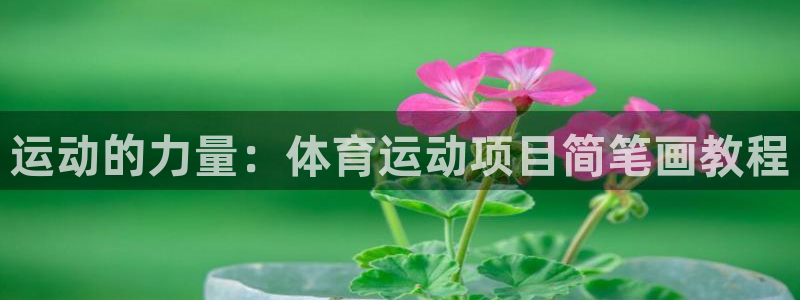 bbin视讯下